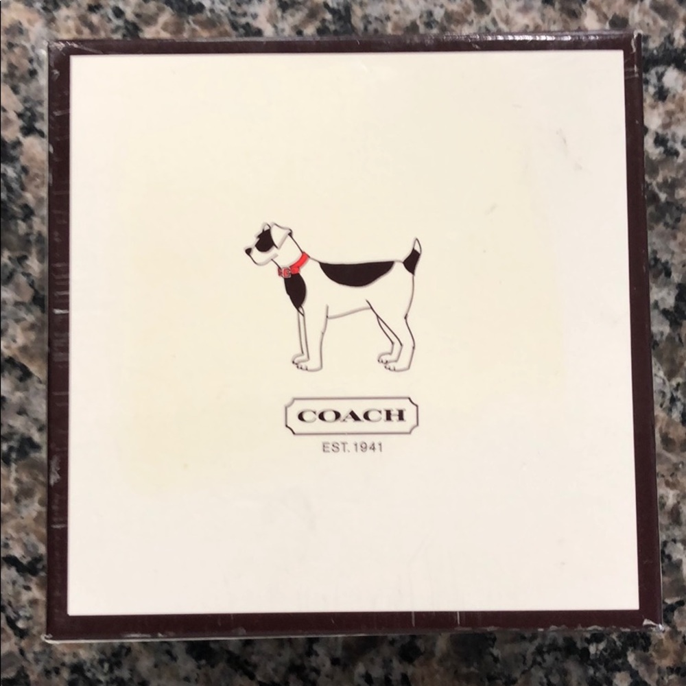 Leather Coach Dog Collar & Leash